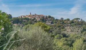 Аренда Коммерческое помещение Mougins