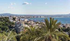 Продажа Апартаменты Palma de Mallorca