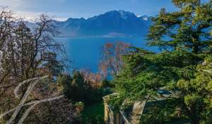 Продажа Поместье Montreux