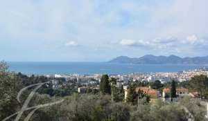 Сезонная аренда Поместье Cannes